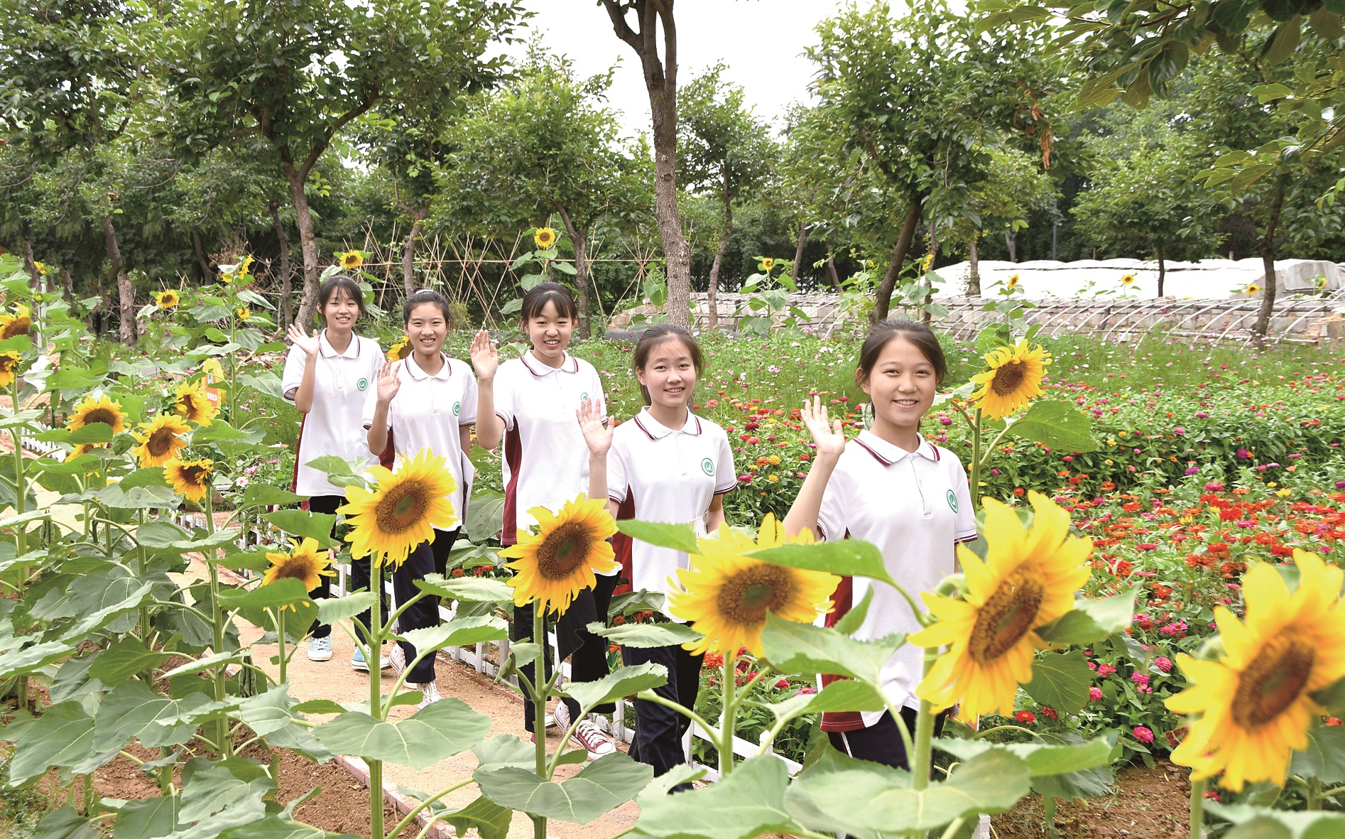 幸福农场里的幸福时光 ——昌乐县齐都实验学校劳动教育侧记