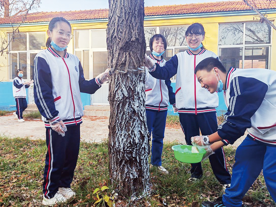 趣享劳动时光 赋能全面成长———海阳市发城镇初级中学多彩劳动实践掠影